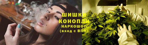 молекула духа Костерёво