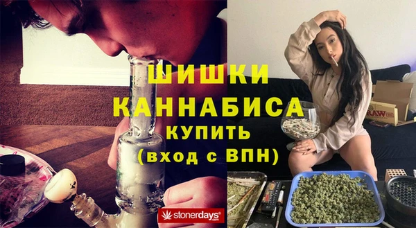 молекула духа Костерёво