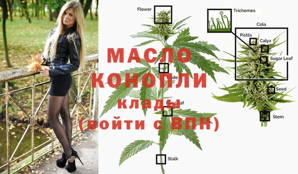 молекула духа Костерёво
