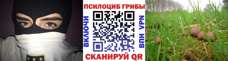 Купить закладки  Ядрин  Галлюциногенные грибы MAGIC MUSHROOMS 